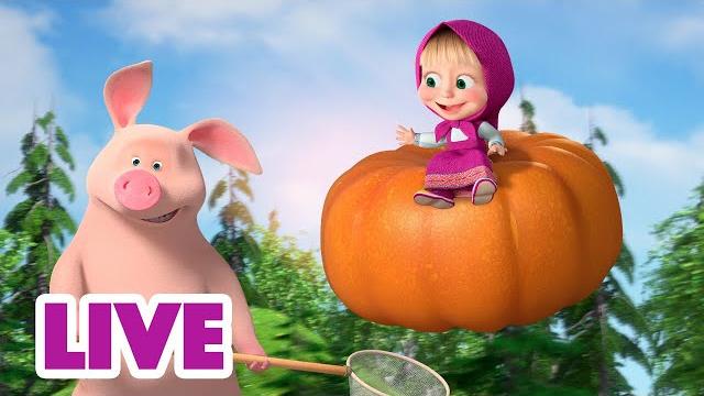 Прямой эфир! live маша и медведь ️ с ветерком! Прямой эфир! live маша и медведь ️ с ветерком!