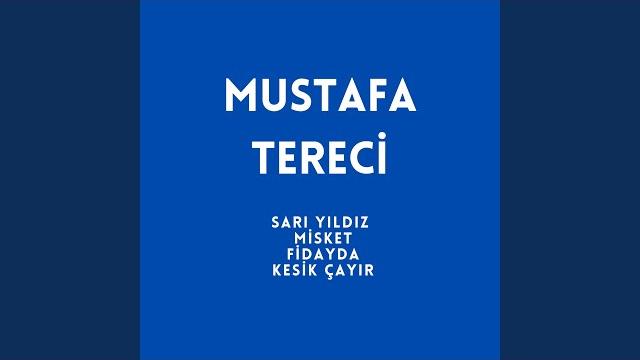 Sarı yıldız / misket / fidayda / kesik çayır Sarı yıldız / misket / fidayda / kesik çayır