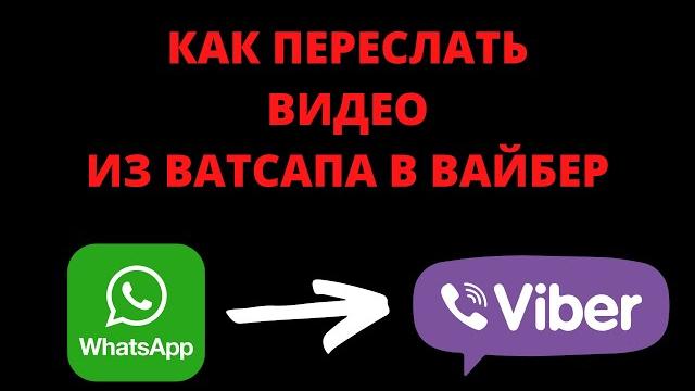 Как переслать видео с ватсапа на вайбер Как переслать видео с ватсапа на вайбер