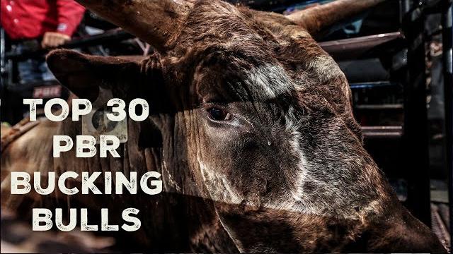 Top 30 pbr bucking bulls | all episodes Top 30 pbr bucking bulls | all episodes