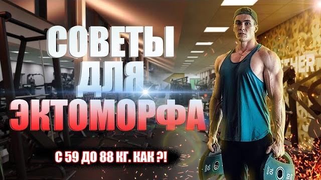 Как набрать массу эктоморфу (28 советов худым!) Как набрать массу эктоморфу (28 советов худым!)