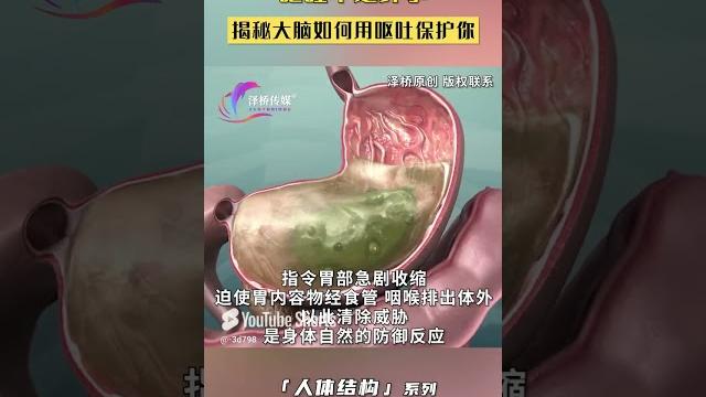 呕吐不是坏事!揭秘大脑如何用呕吐保护你,快来看看怎么回事 # #健康 #3d#人体 #科普 #3danatomy #解剖 #热门#解剖 #热门 #骨骼#健康 #泽桥医生#泽桥科普#泽桥影视#泽桥短剧 呕吐不是坏事!揭秘大脑如何用呕吐保护你,快来看看怎么回事 # #健康 #3d#人体 #科普 #3danatomy #解剖 #热门#解剖 #热门 #骨骼#健康 #泽桥医生#泽桥科普#泽桥影视#泽桥短剧
