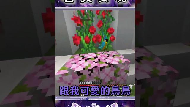 這古典樂明明就很棒,你們都想睡覺!!!【木花夜夜 konohana ch.】 #vtuber #台v #twitch #新人vtuber #vtuberclips #minecraft #古典樂 這古典樂明明就很棒,你們都想睡覺!!!【木花夜夜 konohana ch.】 #vtuber #台v #twitch #新人vtuber #vtuberclips #minecraft #古典樂