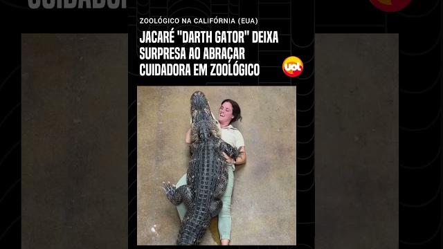 Jacaré deixa surpresa ao abraçar cuidadora em zoológico Jacaré deixa surpresa ao abraçar cuidadora em zoológico