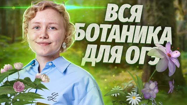 Вся ботаника за один урок: теория, которая точно пригодится тебе на огэ и егэ по биологии | умскул Вся ботаника за один урок: теория, которая точно пригодится тебе на огэ и егэ по биологии | умскул