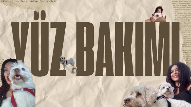 Yüz bakimi Yüz bakimi