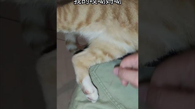 玉足 玉足