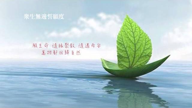 《願》喬安舞 《願》喬安舞