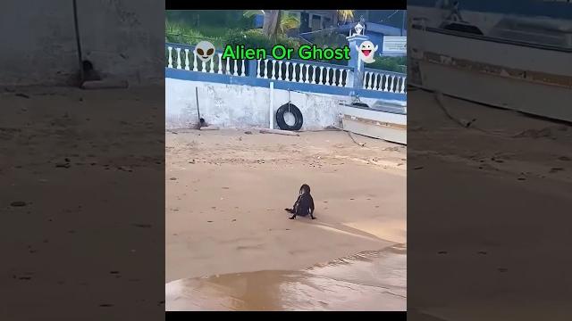 Is this a ghost or an alien ? | #shortsfeed #tamilshorts #tamilaudience #tamil #tamilnadu Is this a ghost or an alien ? | #shortsfeed #tamilshorts #tamilaudience #tamil #tamilnadu