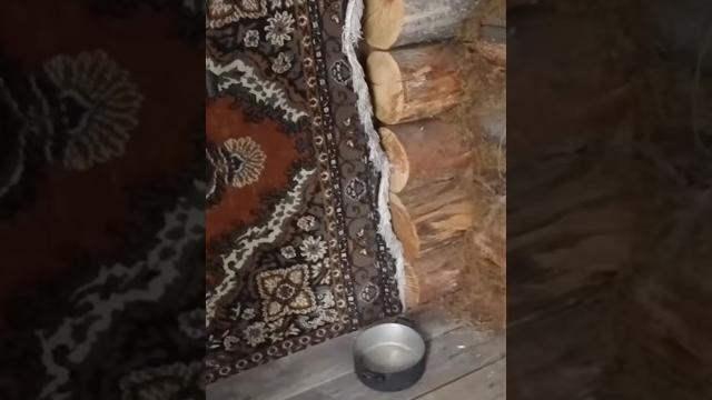 Обзор избы рыбака #находка #избушкавлесу Обзор избы рыбака #находка #избушкавлесу