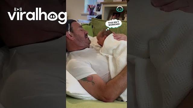 Baby tries to breastfeed from dad || viralhog Baby tries to breastfeed from dad || viralhog