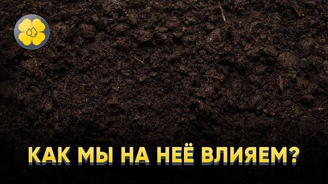 Структура почвы под рапс Структура почвы под рапс