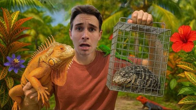 My zoo is under attack by these invasive creatures ! My zoo is under attack by these invasive creatures !