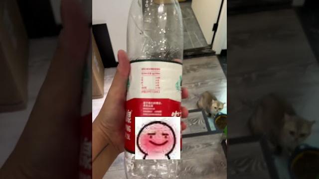 【#pupu噗噗】如何防止猫咪乱尿,亲测有用!#猫咪的迷惑行为 #铲屎官的乐趣 【#pupu噗噗】如何防止猫咪乱尿,亲测有用!#猫咪的迷惑行为 #铲屎官的乐趣