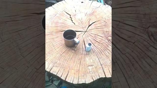 Кому #дуб #сухостой Кому #дуб #сухостой