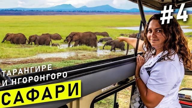 Сафари в африке - танзания #4 | занзибар сафари - национальный парк тарангире и кратер нгоронгоро Сафари в африке - танзания #4 | занзибар сафари - национальный парк тарангире и кратер нгоронгоро