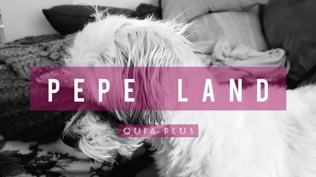 Pepe land trailer Pepe land trailer