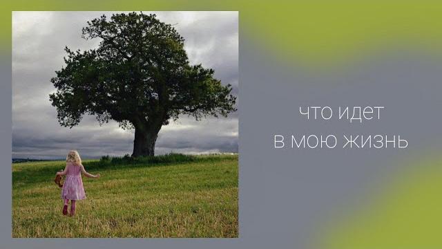 Что идет в мою жизнь Что идет в мою жизнь