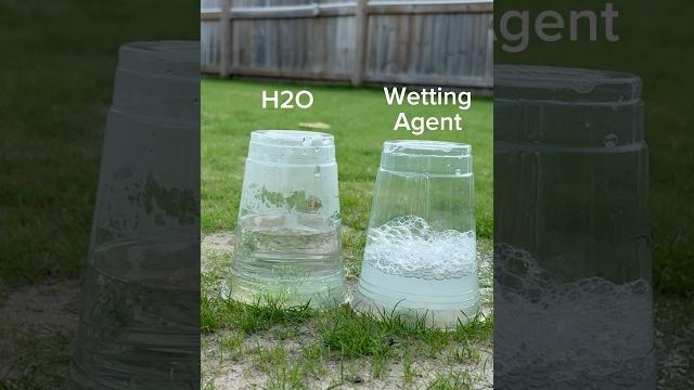 Why you should use a wetting agent on your lawn! Why you should use a wetting agent on your lawn!