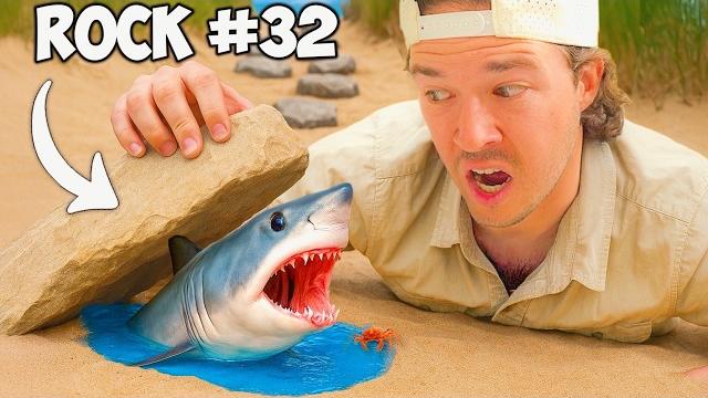 I flipped 100 beach rocks, here’s what i found I flipped 100 beach rocks, here’s what i found
