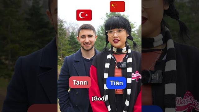 Chinese vs turkish Chinese vs turkish