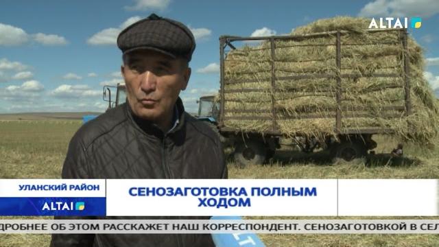 Сенозаготовка полным ходом Сенозаготовка полным ходом