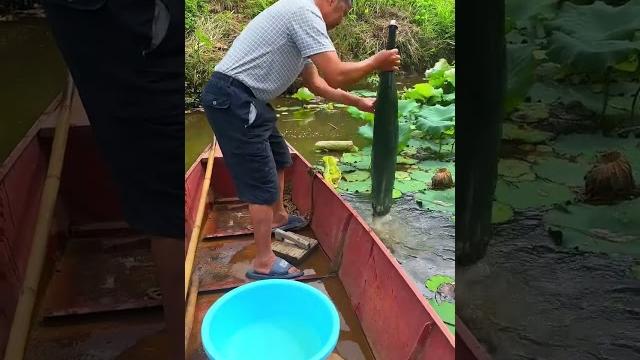 This fishing tool is great #rurallife #outdoors #fishfood #fishtrip #xiaomei #fishingfun This fishing tool is great #rurallife #outdoors #fishfood #fishtrip #xiaomei #fishingfun