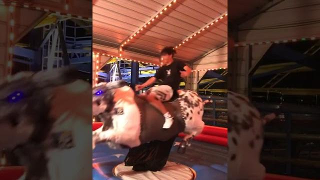 Bull ride at fun spot Bull ride at fun spot