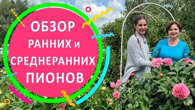 Обзор ранних и среднеранних пионов Обзор ранних и среднеранних пионов