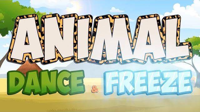 Animal dance and freeze | fun movement brain break | jack hartmann Animal dance and freeze | fun movement brain break | jack hartmann