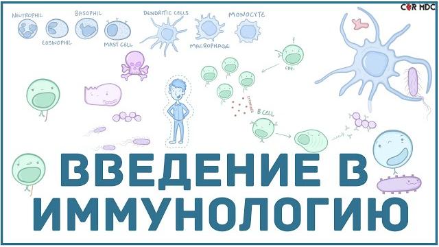 Введение в иммунологию Введение в иммунологию