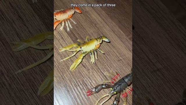 These realistic crawfish lures are going to get crushed this spring! #bassfishing #crawfish #fyp These realistic crawfish lures are going to get crushed this spring! #bassfishing #crawfish #fyp