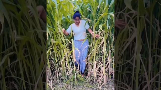 Girl hot video// se*y tiktok #108 | @joliestar1 #shorts #tiktok #bigbank #viralvideo #trending Girl hot video// se*y tiktok #108 | @joliestar1 #shorts #tiktok #bigbank #viralvideo #trending