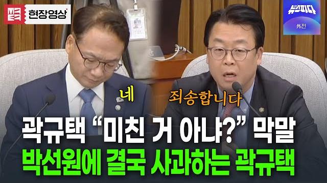 박선원한테 "미친 거 아냐? 막말한 곽규택.. 결국 사과하는데.. 박선원한테 "미친 거 아냐? 막말한 곽규택.. 결국 사과하는데..