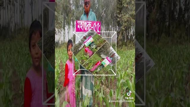 Mohaguru 55 Mohaguru 55