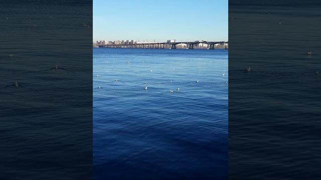 Ukraine sunny dnepr Ukraine sunny dnepr