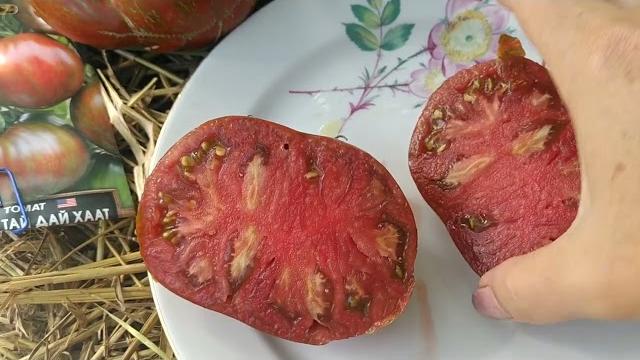 Беркли тай дай хаат ,, обзор томата. Беркли тай дай хаат ,, обзор томата.