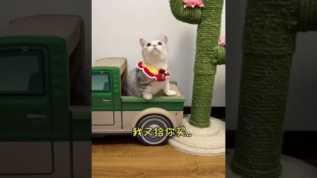 【雪球日记】兔兔马上满月啦,大家想领养小兔子记得给我留言呀! 【雪球日记】兔兔马上满月啦,大家想领养小兔子记得给我留言呀!