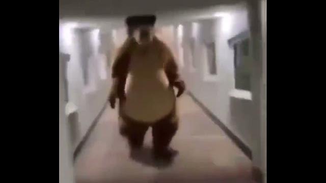 Scp-1048²- terror bear Scp-1048²- terror bear