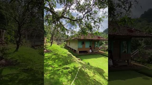 Halaman rumah seperti karpet , bisa guling guling ini mah #potensidesaku #suasanayangindah Halaman rumah seperti karpet , bisa guling guling ini mah #potensidesaku #suasanayangindah