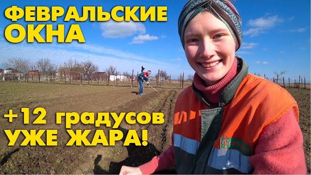 21 ч. дом на юге. жара в феврале. большие дела на огороде: сажаем горох, новые грядки, подрезка роз 21 ч. дом на юге. жара в феврале. большие дела на огороде: сажаем горох, новые грядки, подрезка роз