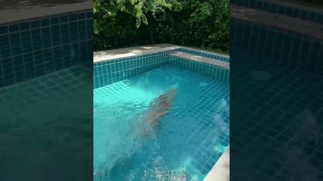 Naked pool morning Naked pool morning