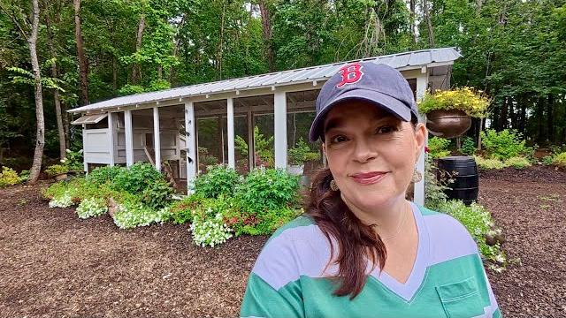 The chicken coop gardens are thriving! The chicken coop gardens are thriving!