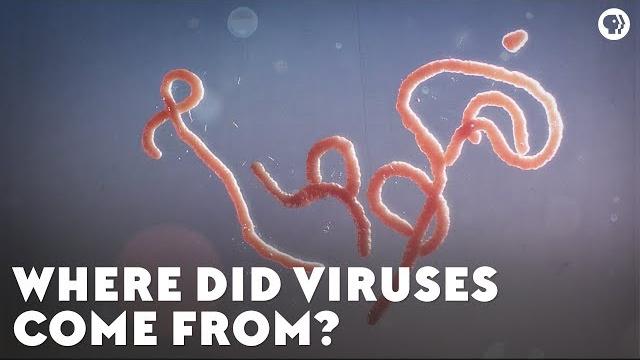 Where did viruses come from? Where did viruses come from?