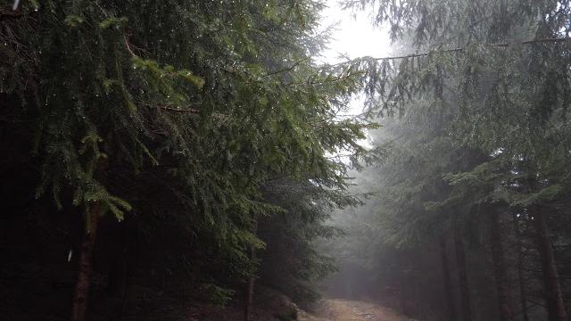 10 hours of rain sound relaxation / ultimate stress relief, deep sleep, meditation, yoga,... 10 hours of rain sound relaxation / ultimate stress relief, deep sleep, meditation, yoga,...