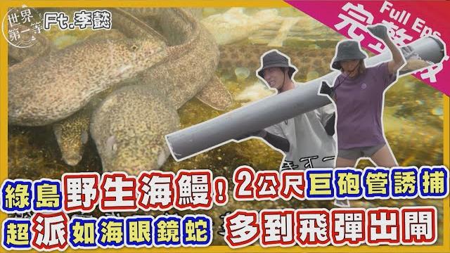 【綠島】唐振剛李懿|古道探險 抓海惡霸食蟹鰻魚/辣妹夏麵給你吃/綠島傳統功夫菜 豆頭林投芯/海景民宿超鬆《世界第一等》1056集完整版 green island full ep.1056 engsub 【綠島】唐振剛李懿|古道探險 抓海惡霸食蟹鰻魚/辣妹夏麵給你吃/綠島傳統功夫菜 豆頭林投芯/海景民宿超鬆《世界第一等》1056集完整版 green island full ep.1056 engsub