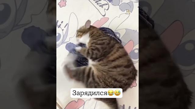Зарядился#юмор#смех#улет#фан Зарядился#юмор#смех#улет#фан