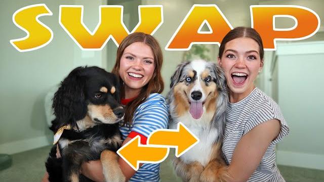 Sisters swap dogs for a day! Sisters swap dogs for a day!