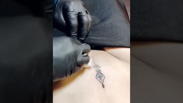 Tato di vegina cewek Tato di vegina cewek