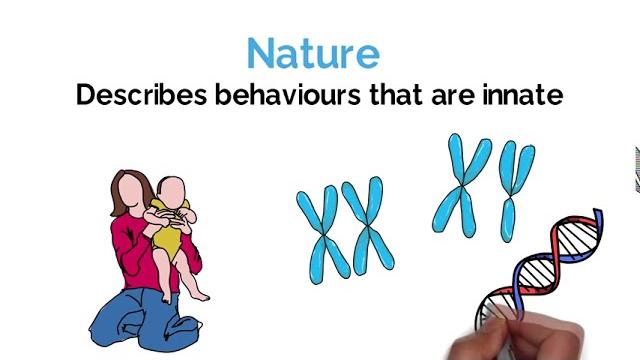 Nature vs nurture (psychology debate explained) #alevel Nature vs nurture (psychology debate explained) #alevel